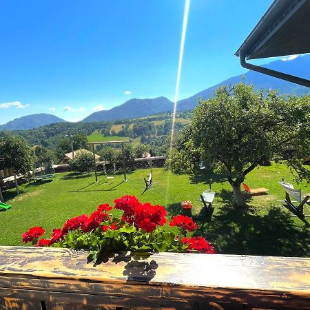 Casa Mesterului Sohodol  Bagian luar foto