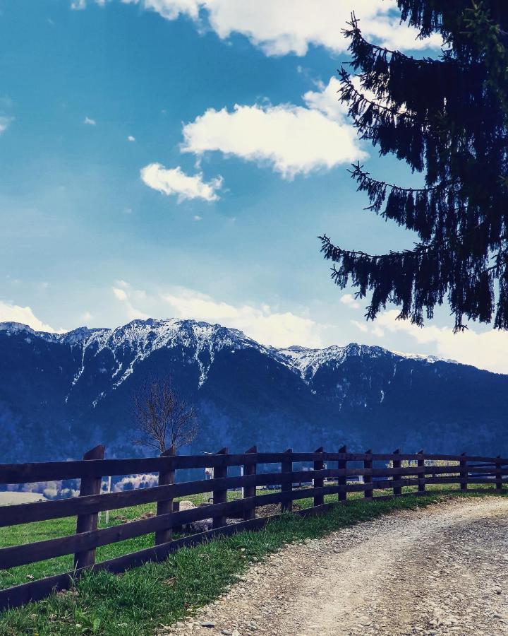 Casa Mesterului Sohodol  Bagian luar foto