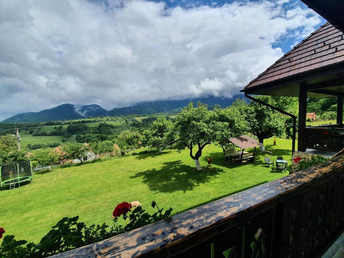 Casa Mesterului Sohodol  Bagian luar foto