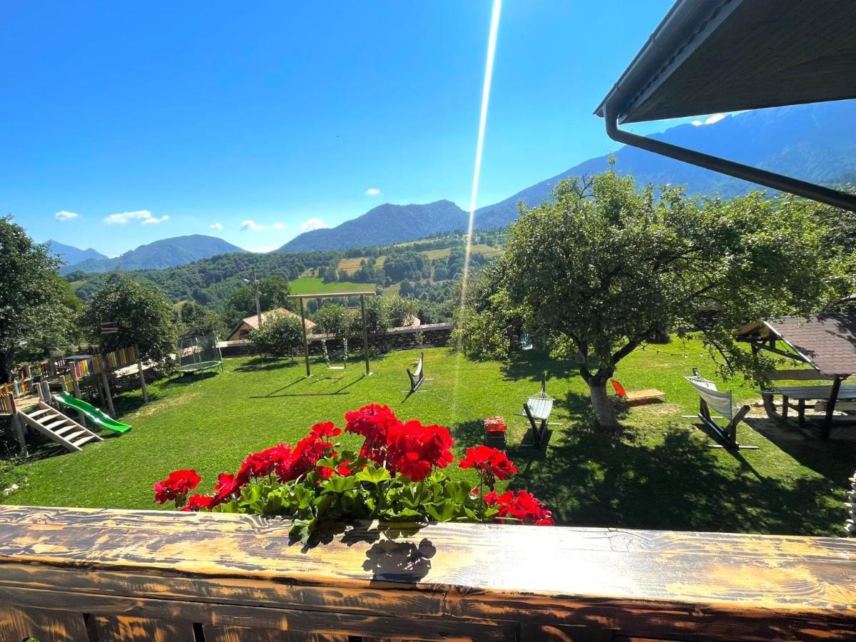 Casa Mesterului Sohodol  Bagian luar foto